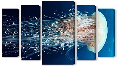 Модульная картина - Медуза цианея