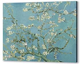 Постер (плакат) - Цветущие ветки миндаля, Ван Гог