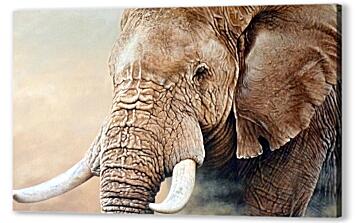 Постер (плакат) - Слон