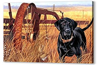 Постер (плакат) - Охотничий пёс