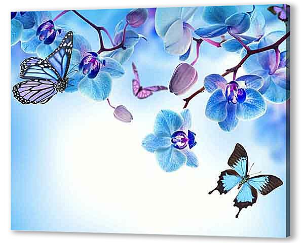 Бабочки и голубые орхидеи
