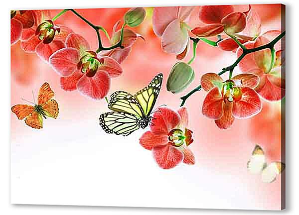 Бабочки и красные орхидеи
