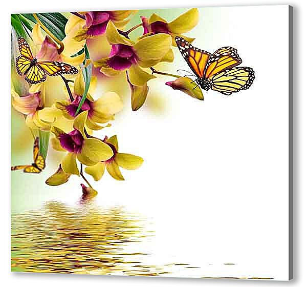 Постер (плакат) - Желтые орхидеи и бабочки
