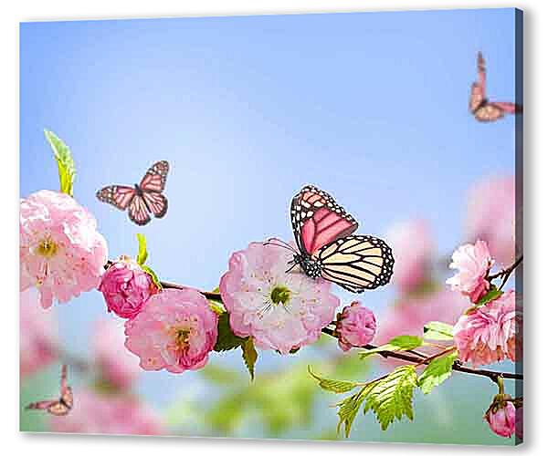 Постер (плакат) - Бабочки и розовые цветы 
