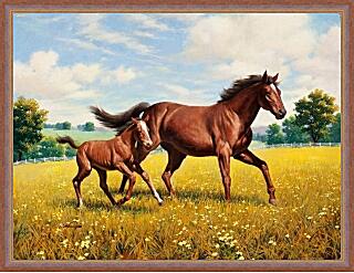 Картина - Лошадь и жеребенок