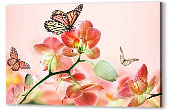 Постер (плакат) - Орхидеи и бабочки