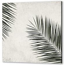 Две ветки пальмы