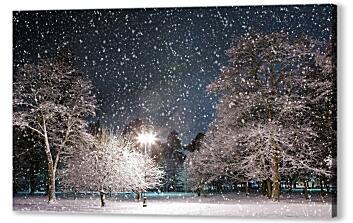 Ночь в зимнем парке