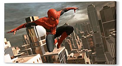 Постер (плакат) - Spider Man