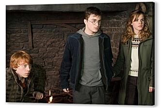 Постер (плакат) - Гарри Поттер и Орден Феникса