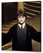 Постер (плакат) - Гарри Поттер и Тайная комната