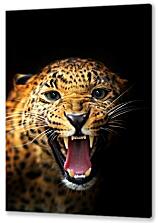 Постер (плакат) - Леопард №1