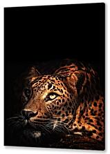 Постер (плакат) - Леопард №3