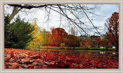 Картина - Осень