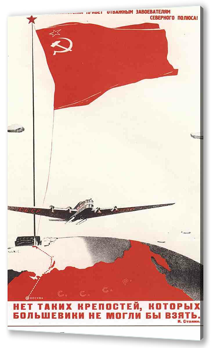 Постер (плакат) - Самолеты и авиация|СССР_0008
