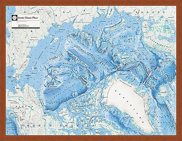 Картина - Карта Арктической зоны
