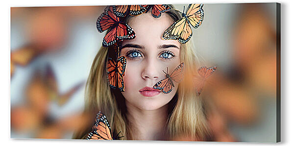 Постер (плакат) - Много бабочек
