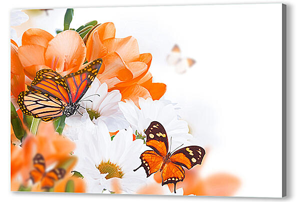Постер (плакат) - Оранжевая бабочка
