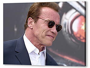 Постер (плакат) - Арнольд Шварценеггер (Arnold Schwarzenegger)