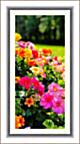 Миниатюра картины в раме