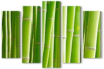 Модульная картина - Зеленый бамбук
