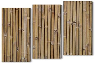 Модульная картина - Бамбук