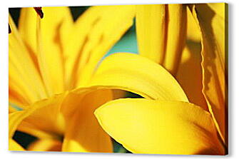 Постер (плакат) - Желтые лилии