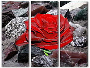 Модульная картина - Роза на камнях
