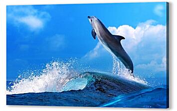 Постер (плакат) - Дельфин