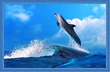 Картина - Дельфин