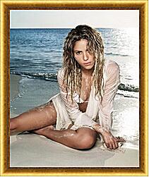 Картина - Shakira - Шакира
