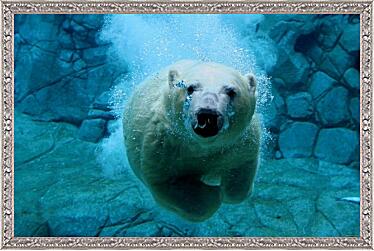 Картина - Белый медведь в воде