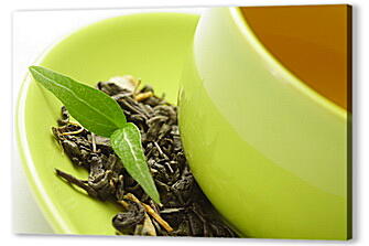Постер (плакат) - Чашка зеленого чая