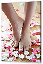 Постер (плакат) - Ножки с лепестками роз
