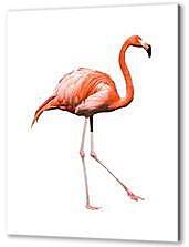 Постер (плакат) - Фламинго