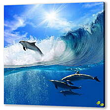 Дельфины на волнах
