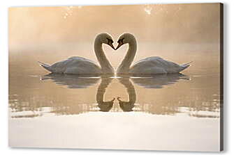 Постер (плакат) - Лебеди на озере