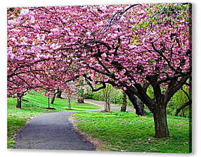 Постер (плакат) - Розовые деревья в парке
