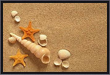 Картина - Ракушки и звезды на песке

