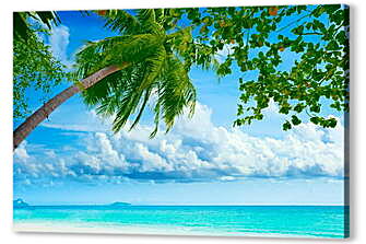 Постер (плакат) - Зеленая пальма над морем
