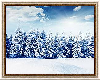 Картина - Ряд снежных елей
