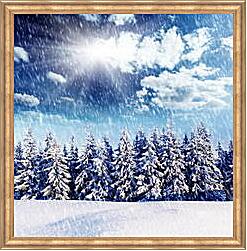 Картина - Ряд снежных елей снегопад и яркое солнце
