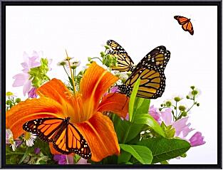 Картина - Лилии и бабочки