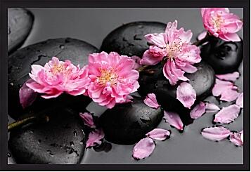 Картина - Цветы сакуры на камнях