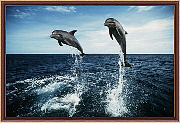 Картина - Дельфины