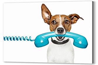 Постер (плакат) - Собака с телефоном