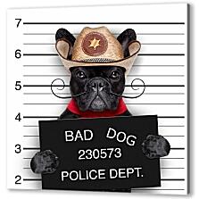 Постер (плакат) - Собака в полицейском участке
