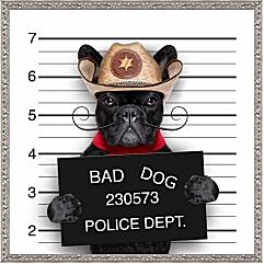 Картина - Собака в полицейском участке