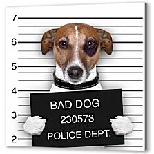 Постер (плакат) - Собака в полицейском участке