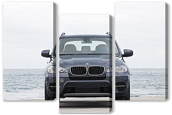 Модульная картина - БМВ (BMW)-192